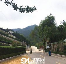 陵园风景图-2