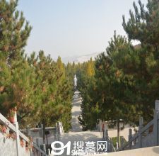 陵园风景图-21