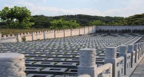 陵园风景图-3